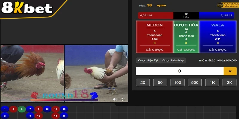 Khi cá cược đá gà tại 8KBET, anh em cần quản lý ngân sách đúng cách