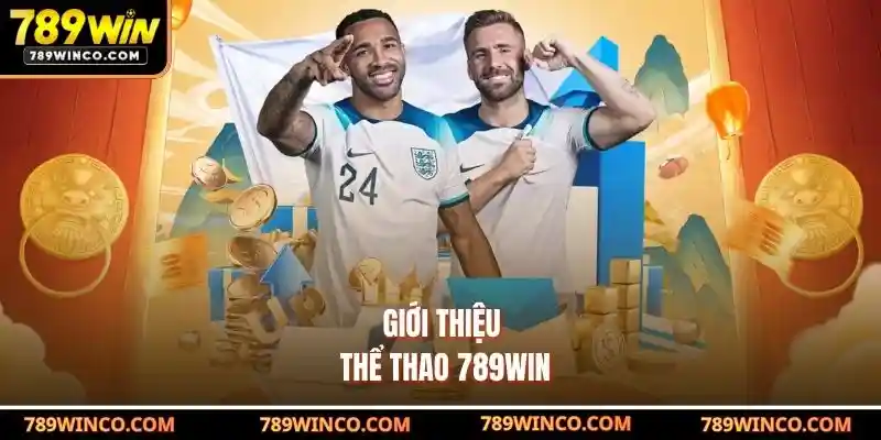 Giới thiệu Thể Thao 789win